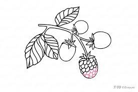How To Draw A Blackberry Step By Step Using A Pencil