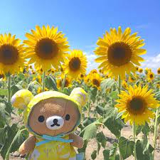 Pin On All About Rilakkuma