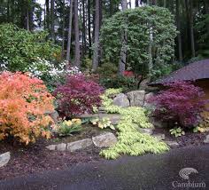 Pin On Shade Garden