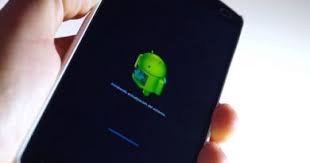 If you see fast boot mode on your mobile phone when you press volume buttons, you need to enter number 8 to wipe all your data. F01j Update