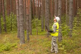 Maybe you would like to learn more about one of these? The 5 Best Doctor Of Forestry Degree Programs In 2021 Salary And Information