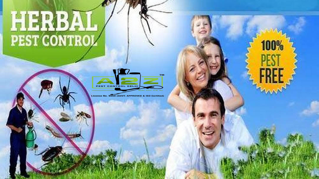 Pest Control Services in Sector 30 Gurugram product image