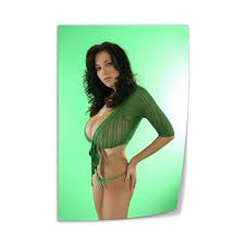 Amazon.com: Póster de la modelo Jana Defi Art Sexy 5Wall Poster Art  Impresión en lienzo para sala de estar, oficina, dormitorio, póster  estético de 12 x 18 pulgadas (11.8 x 17.7 in),