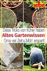 Gartnertipps Garten Bepflanzen Garten Pflanzen Garten