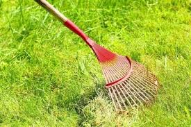 Mow low before overseeding your thin lawn, cut your grass shorter than normal and bag the clippings. Overseeding Lawn How To Plant Grass Seed On Existing Lawn