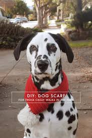Quick bandana triangle cowl to keep your warm by tucking the bottom into coat or jacket, without not mess! Diy Dog Scarf Jamie Bartlett Design