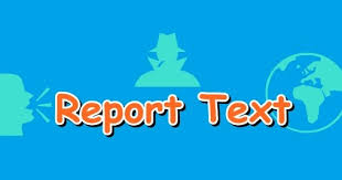 Image result for report text