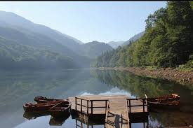 Billedresultat for nature e virgjer