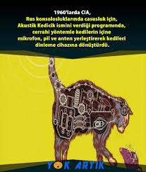 Yok Artik Panosundaki Pin