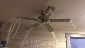 Windmill ceiling fans of texas is a family owned, veteran owned business that started as don's windmills in 1968. Video Icicles Form On Ceiling Fan In Texas Amid Freezing Temperatures Daily Mail Online