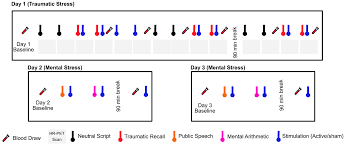Jpm Free Full Text Application Of Noninvasive Vagal Nerve Stimulation To Stress Related Psychiatric Disorders Html