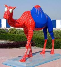 Camel spider pictures and information. Camel Spider