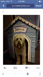 Nana Had A Comfy House Peter Pan Peter Pan Musical Peter Pan Play Peter Pan Costumes