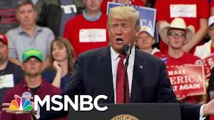 Pin On Vote Him Out 2020