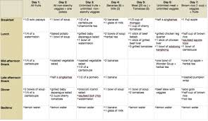 Detox Diet Plan In Dubai Gm Diet Plans Gm Diet 7 Day Detox Diet