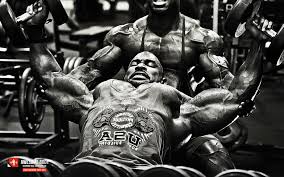 Download and use 6,000+ gym stock photos for free. Bodybuilding Gym Wallpapers Wallpaper Cave