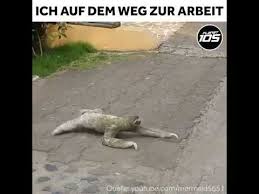 Lustig Montag Morgen Auf Den Weg Zur Arbeit 2017 Hd Youtube Lustiger Montag Arbeit Lustig Lustige Spruche Arbeit