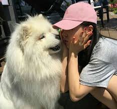 Where Stories Live Girl And Dog Dog Tumblr Ulzzang