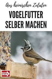 Vogelfutter Selber Machen Rezept Alles Was Du Brauchst Sind Geeignete Fruchte Beeren Und Nusse P Vogelfutter Vogelfutter Selber Machen Heimische Singvogel