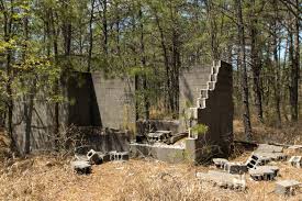 See more of wharton state forest on facebook. Hiking The Parker Preserve Red Trail Njpinebarrens Com