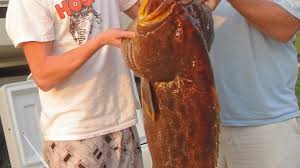 Skipping school pays off for teen angler