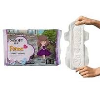 OEM Private Label Wholesale Panty Liner Menstruation Anion Chip Ultra Thin Air-Laid Paper Lady Women Sanitary Napkin Pads