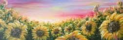 Field of Sunflowers