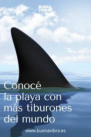 Pin En Zapping Noticias Variadas Y Datos Curiosos