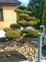 Gartenbonsai Garten Garten Gestalten