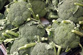 And if you're into avoiding waste, it's also good to know when things may seem a little off but the broccoli is still. How To Harvest Broccoli Gardener S Path