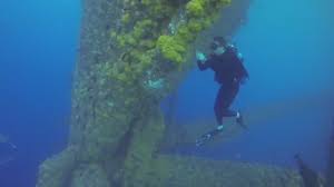 Bp falls out of index of top 100 brands after deepwater horizon oil spill. Ten Years After The Deepwater Horizon Oil Spill Oil Pollution Found In Thousands Of Fish Cnn