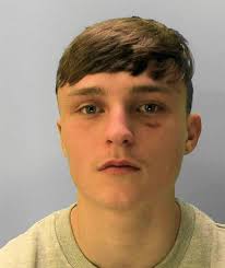 Newhaven murder: Trent Hutchinson killed Ollie Wells