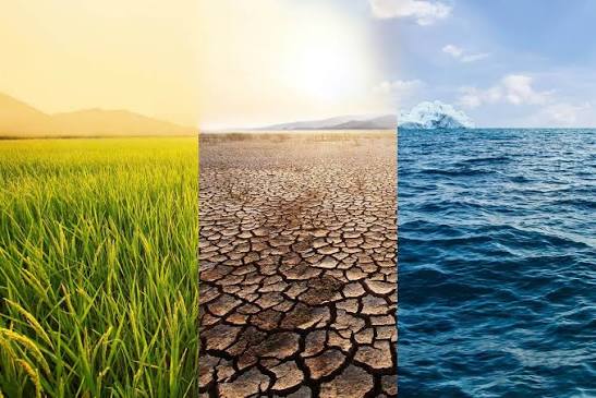 Climate Risk