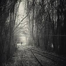 From Darkness Into Light Light In The Dark Outdoor Pictures Photo