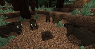 With the better animal models mod, some animals in minecraft will look much more beautiful and realistic. Boar Better Animals Plus Wiki Fandom