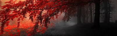 Dual Monitor Autumn Wallpapers Top Free Dual Monitor Autumn Backgrounds Wallpaperaccess Find the best 2 monitor wallpaper on getwallpapers. dual monitor autumn wallpapers top