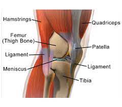 A torn meniscus often can be identified during a physical exam. Meniscus Surgery Cost In Thailand Best Hospitals For Meniscus Surgery In Thailand