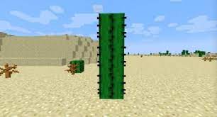 Limit my search to r/minecraft. Tip 3 Use A Cactus As A Garbage Disposal 5 Minecraft Tips Get Water To Work For You Energize Your Game With Lava And More Peachpit