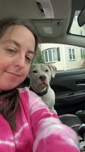 Foster home needed for dog in Massachusetts