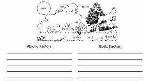 Abiotic And Biotic Factors Worksheet Best Of Ecology Biotic And Abiotic Factors Worksheet Google In 2020 Abiotic Biotic Worksheets Free