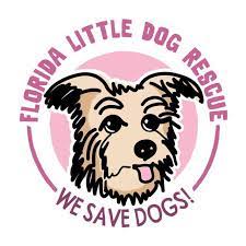 Maybe you would like to learn more about one of these? Pets For Adoption At Florida Little Dog Rescue In Orlando Fl Petfinder
