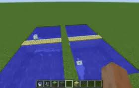 Why Do My Dolphins Keep Dying? They Have A Huge Tank With 3 Blocks Of Air  Above It. They Are Name Tagged, But Keep Vanishing. Any Thoughts? : R/ Minecraft