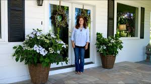 Let's dance® rave® hydrangea offers you rich violet blooms in a compact bigleaf hydrangea. Planting A Let S Dance Diva Reblooming Hydrangea Youtube