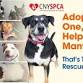 ADOPTION EVENT - The Rescue Effect event image