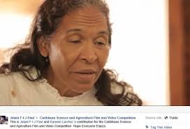 Regional Youth take film prizes at Caribbean week of Agriculture