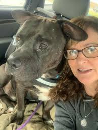 Community Highlights: Meet Debra McLawhorn of Southern Paws Animal Rescue
