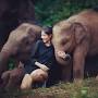 فالووربالا?lsig=AB86z5VpHJDQ3_d0jg5xrEV1Tn98 Elephant Jungle Sanctuary (Office) Mueang Chiang Mai District, Chiang Mai, Thailand from elephantjunglesanctuary.com