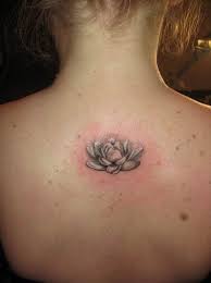 Black And White Realistic Lotus Tattoo Google Search Tattoos Small Lotus Tattoo Flower Tattoo Shoulder