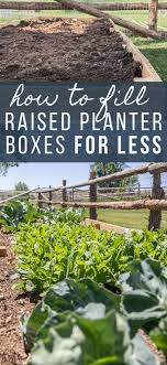 It's important that you fasten the boards together properly and building a planter box is a great way to add splashes of color around your deck, patio or garden. How To Fill A Raised Garden Bed And Save On Soil Twelve On Main