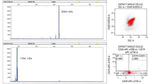 Image result for CSF PCR